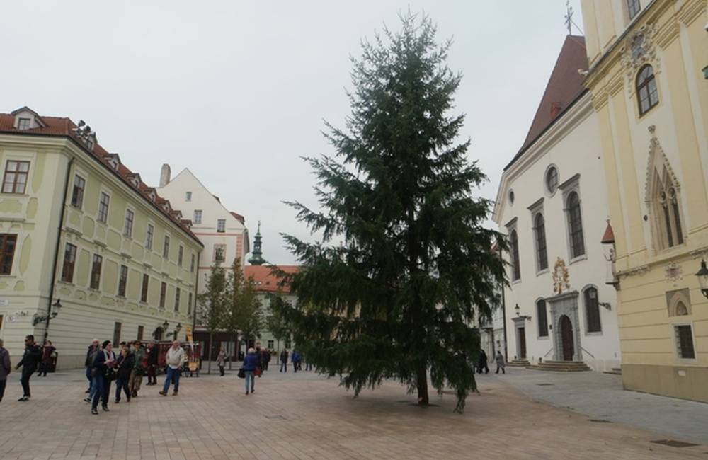 Na Hlavnom námestí v Bratislave už osadili stromček, blížia sa Vianočné trhy