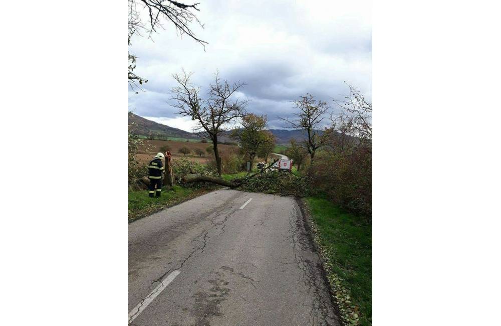 Silný vietor potrápil aj Bratislavský kraj, hasiči kvôli nemu zasahovali až pri 19 výjazdoch