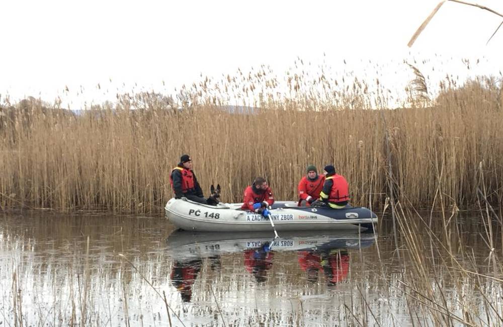 Včera dopoludnia našli v okolí Devínskeho jazera telo ženy, pravdepodobne ide o nezvestnú Miroslavu