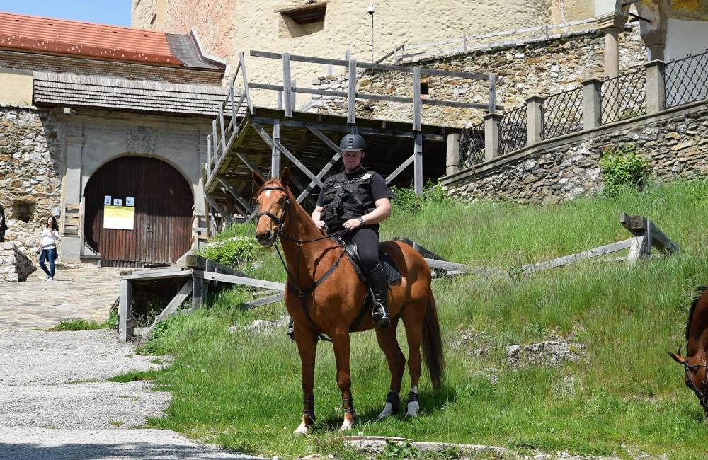 Jazdecká polícia v Bratislave pokutuje aj v lesoparku, ľudia často nerešpektujú pravidlá