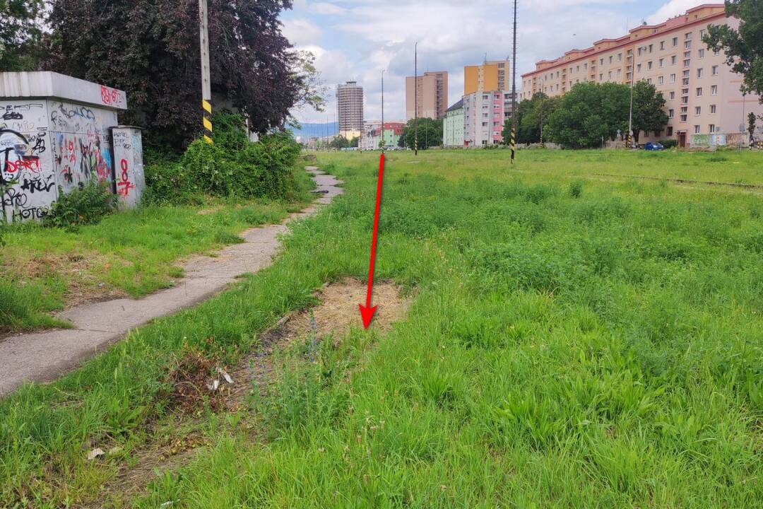 Foto: Na Filiálke zarastá do zabudnutia technický unikát. Rohlederovou koľajnicou dokázali vlaky prekonať aj ostré oblúky
