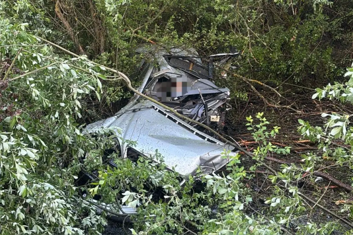 Foto: Tragická nehoda na Záhorí: Vodič narazil do stromu, zraneniam na mieste podľahol