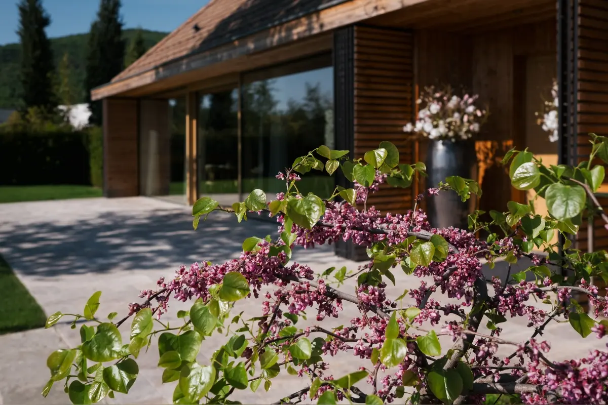 Foto: Najlepšou reštauráciou u nás je ECK Restaurant pri Devíne. Gastronomický sprievodca Gault&Millau jej udelili 4 čiapky
