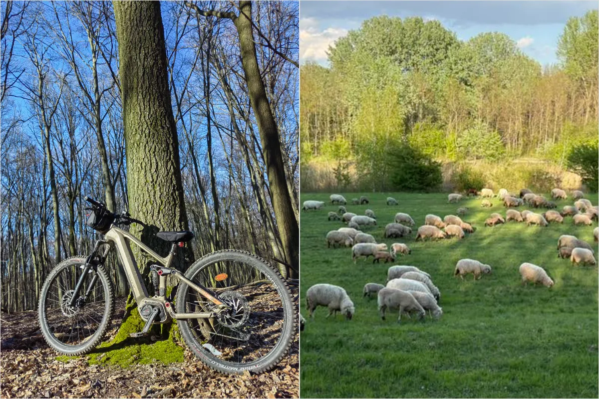 FOTO: Bratislavčania prezradili, kde najradšej trávia svoje voľné chvíle. Väčšina uteká do prírody k hrádzi či do lesa