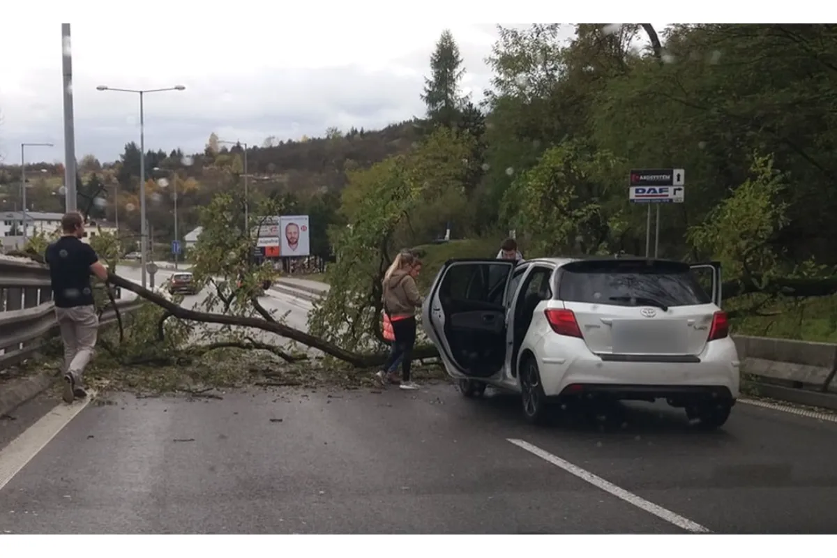Meteorológovia varujú pred vetrom v Bratislavskom kraji. Platí výstraha