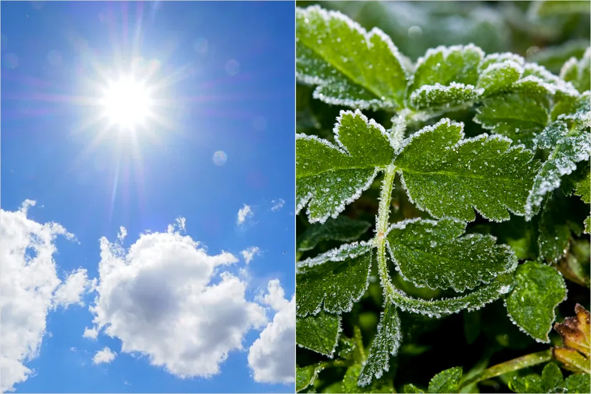 Aké počasie čaká Bratislavský kraj počas predĺženého víkendu? Na noc schovajte kvety, no cez deň sa môžete opáliť