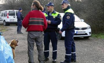 Mestská polícia v Bratislave si počas kontrol posvieti aj na majiteľov psov