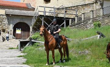 Jazdecká polícia v Bratislave pokutuje aj v lesoparku, ľudia často nerešpektujú pravidlá