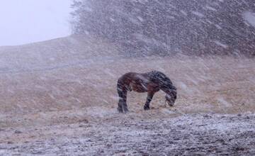 Mieri k nám víchrica Katrin. Najsilnejšie nárazy vetra hrozia na horách a v okolí Bratislavy