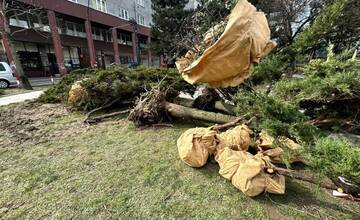 FOTO: Staré Mesto žaluje stavebnú firmu za výrub stromov a kríkov na Kollárovom námestí