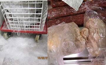 Pleseň aj exkrementy hlodavcov: Potravinoví kontrolóri odhalili stovky nedostatkov (FOTO)