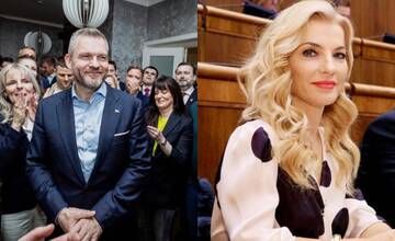 Hlas-SD má záujem o ministerstvo kultúry, tvrdí Michelko z SNS. Drucker by mohol byť ministrom zdravotníctva