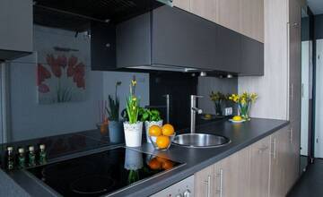 21-ročná Vanessa ponúkala do prenájmu cudzí byt na Mierovej ulici. Hrozí jej až päť rokov za mrežami