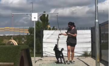 VIDEO: V blízkosti Bernolákova vznikol prvý dog friendly McDonald’s na Slovensku
