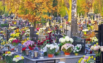 Krádež priamo na cintoríne. Neznámy páchateľ v Bratislave odcudzil náhrobnú dosku za viac ako tisíc eur