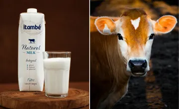 Slovensko čelí vírusu slintačky a krívačky, odborníci varujú pred konzumáciou nepasterizovaných výrobkov