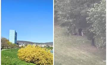 VIDEO: Dramatické chvíle na Kuchajde majú dohru, čo sa tam v skutočnosti stalo? Kto napadol muža pri jazere?