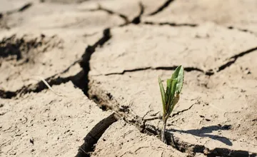 V Maďarsku vyhlásili zákazy na plytvanie vodou, hrozia extrémne suchá, na juhu Slovenska rastie napätie