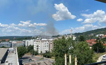 Neďaleko bratislavských Kramárov došlo k požiaru porastov, na miesto smerovali hasiči