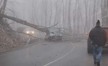 Obrovské nešťastie na Pezinskej Babe. Strom padol rovno na auto, cesta ostala neprejazdná