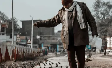 Vrakunčania sa hádajú pre holuby. Jedni ich chcú kŕmiť, druhí nad tým len krútia hlavami