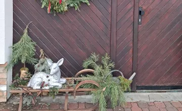 Na Čachtickej ulici v Rači niekto ukradol a rozmlátil obľúbenú fotogenickú srnku, majitelia aj miestni sú sklamaní 