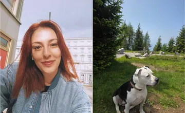 Bratislavčanka Eleonóra pátra po svojej nezvestnej dcére Zuzane, zdržiava sa vo Viedni, mala by byť so psom Lucy