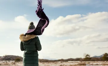 Nedeľa prinesie do Bratislavského kraja silný vietor. Situácia sa upokojí poobede, v tomto okrese o čosi skôr