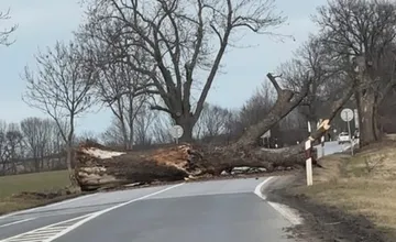 Na cestu z Pezinka spadol obrovský strom, k tragédii tu veľa nechýbalo. Ľudí hnevá, že okolo ciest stoja staré kusy