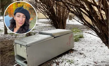 Nicholsonová opisuje život v centre Bratislavy kúsok od Mlynských Nív. Boj o život na priechode aj chladnička pod oknami