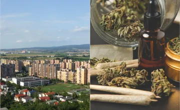 Pochádzate z Devínskej Novej Vsi a občas tu zacítite závan podobný marihuane? V každom prípade v tom nie ste sám
