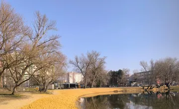 VIDEO: Nová piesková pláž na Draždiaku rozhádala Petržalčanov. Podľa niektorých tam piesok nepatrí, iní sa tešia