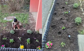 Pezinčanka so synom zasadila kvety, aby skrášlila okolie susedom, pri kvetinovom fantómovi nevydržali ani 12 hodín