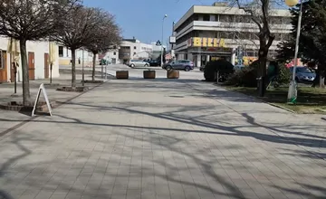 VIDEO: Skapal v Pezinku skutočne pes? Nový prisťahovalec je sklamaný, susedia mu radia kam ísť a prečo je to tak