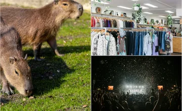 Víkend v Bratislave a okolí ukáže to najlepšie: SWAP oblečenia, kapybary v zoo a párty ako z 90. rokov!