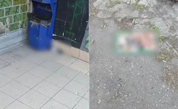 Neuveríte, aké zvieratko našiel Vrakunčan v lepiacej pasci na myši. Ľudia sú znechutení krutosťou svojich susedov