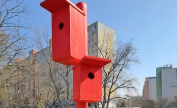 V Petržalke vyrástli vtáčie búdky. Podľa ľudí je červená farba agresívna, v lete v nich bude teplo. Čo na to odborníci?