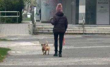 Žena v Novom Meste odmieta zbierať psie výkaly po svojom miláčikovi. Ignoruje každého, kto ju napomenie