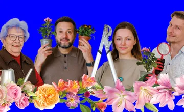 Bratislava po roku opäť hľadá najkrajšiu predzáhradku. Víťazov súťaže čakajú finančné odmeny