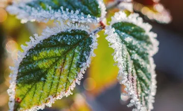 Jarnú úrodu počas noci potrápi prízemný mráz, zasiahne najmä tento okres