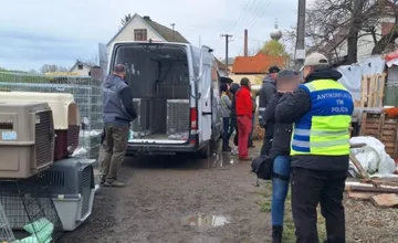 FOTO: Policajti v Záhorskej Vsi odobrali počas osemhodinového zásahu miestnej obyvateľke 56 psov 