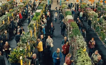 VIDEO: V Bratislave sa cez víkend môžete pokochať exotickou flórou. Festival rastlín bude celkom zdarma