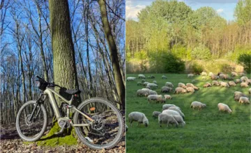 FOTO: Bratislavčania prezradili, kde najradšej trávia svoje voľné chvíle. Väčšina uteká do prírody k hrádzi či do lesa