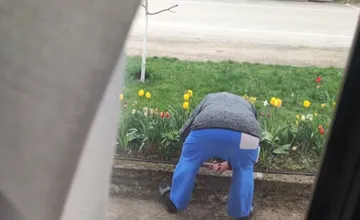 Pezinkom rezonuje smutný príbeh seniora, ktorý skrášľuje okolie pre ostatných. Toto však od obyvateľov nečakal