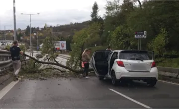Meteorológovia varujú pred vetrom v Bratislavskom kraji. Platí výstraha