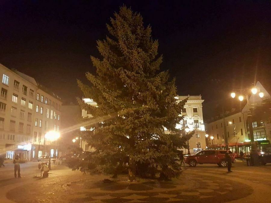 Na Hviezdoslavovom námestí už stojí vianočný stromček, starosta Starého Mesta ho rozsvieti už dnes, foto 4