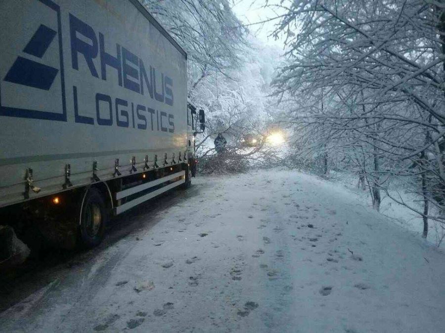 Snehová kalamita zasiahla celé Slovensko, najhoršia situácia je v Bratislavskom a Trnavskom kraji, foto 6