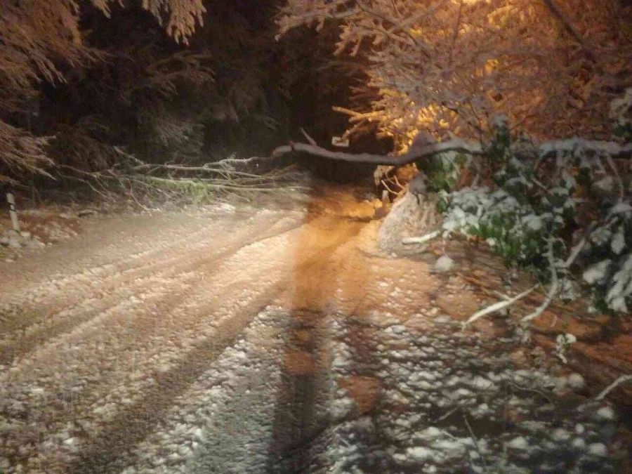 Snehová kalamita zasiahla celé Slovensko, najhoršia situácia je v Bratislavskom a Trnavskom kraji, foto 8