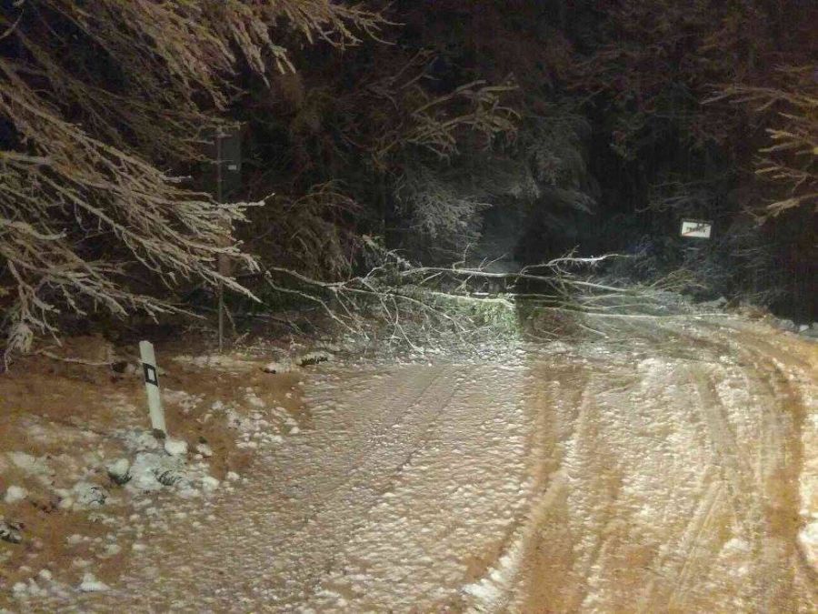 Snehová kalamita zasiahla celé Slovensko, najhoršia situácia je v Bratislavskom a Trnavskom kraji, foto 17