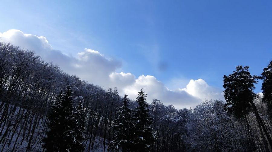 Rozprávkovú zimnú krajinu vyčaroval sneh ku koncu roka 2017 v Mestských lesoch v Bratislave, foto 7